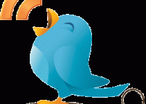 Aprenda a usar o Twitter !!!