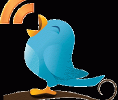 Aprenda a usar o Twitter !!!