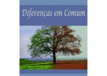 Diferenças em comum