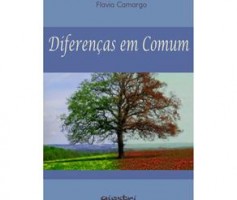 Diferenças em comum