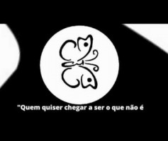 Quem você quer ser em dezembro de 2012?