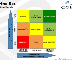 Gestão de Pessoas para Engenheiros: Nine Box