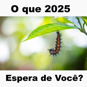 Quem você quer ser em dezembro de 2025?
